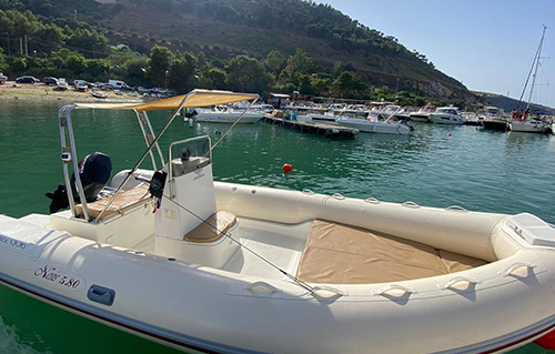 Nesis 580